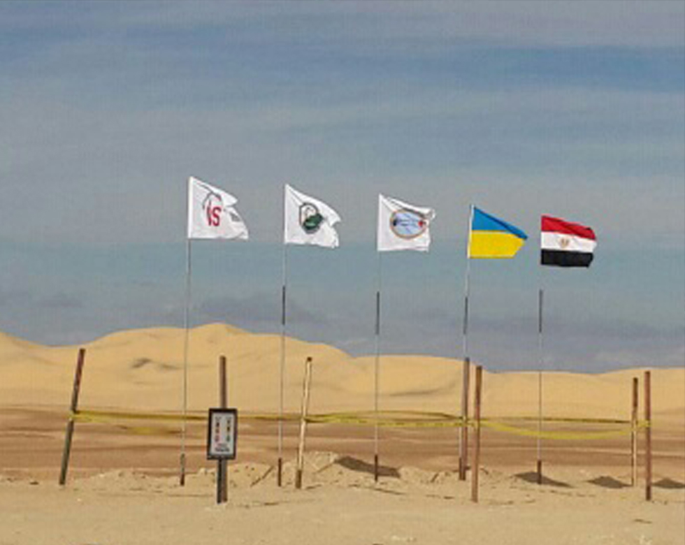 Flags (2)